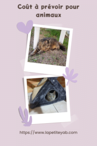 demenagement animaux 2
