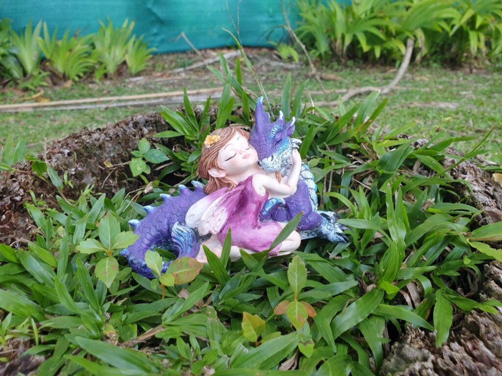 dragon et fée