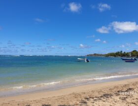 plage tartane Martinique
