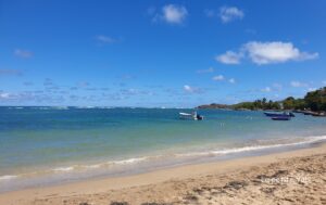 plage tartane Martinique
