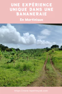 expérience unique dans une bananeraie